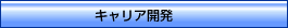 キャリア開発
